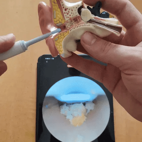 Encabezado